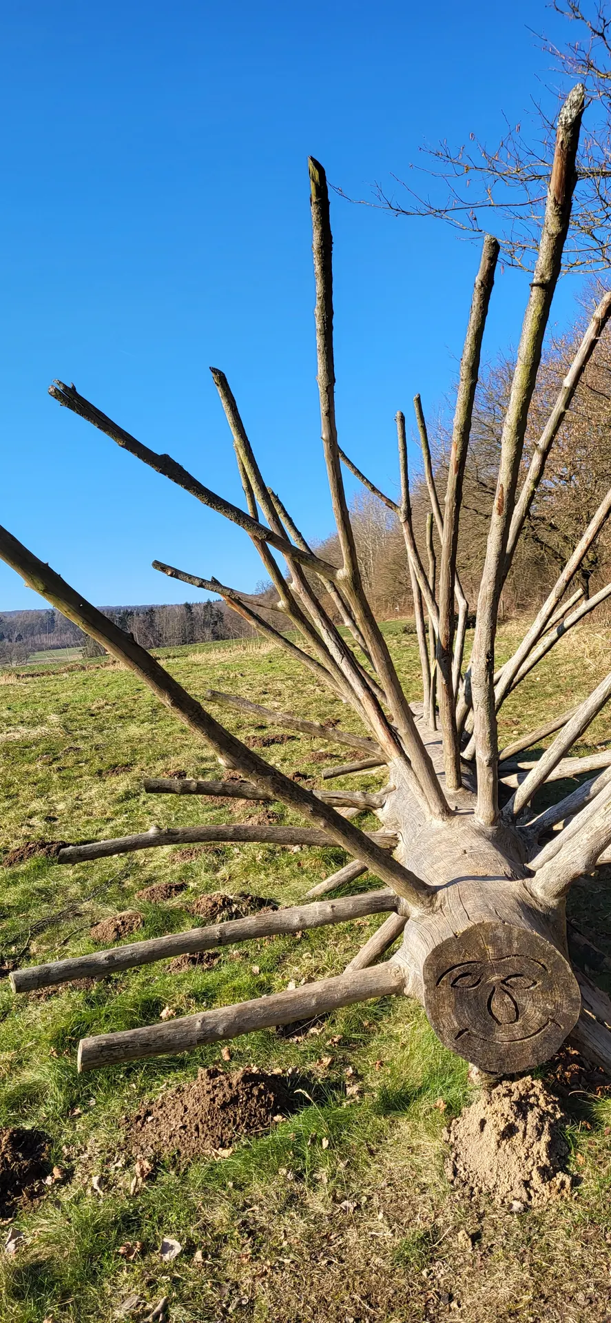 Чай на террасе в Nertha
